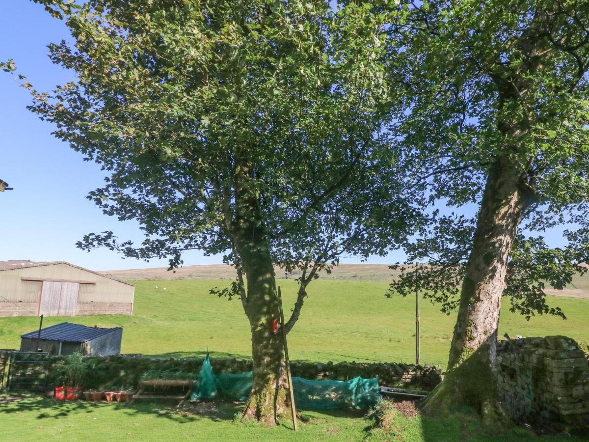 Sycamore Cottage Cotterdale エクステリア 写真